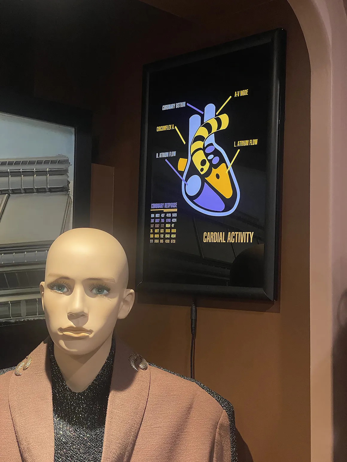 display-enterprise-D-bridge-o