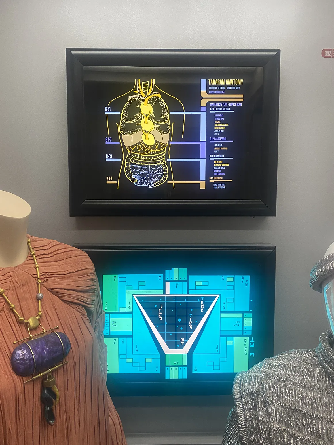 display-enterprise-d-corridor-b1