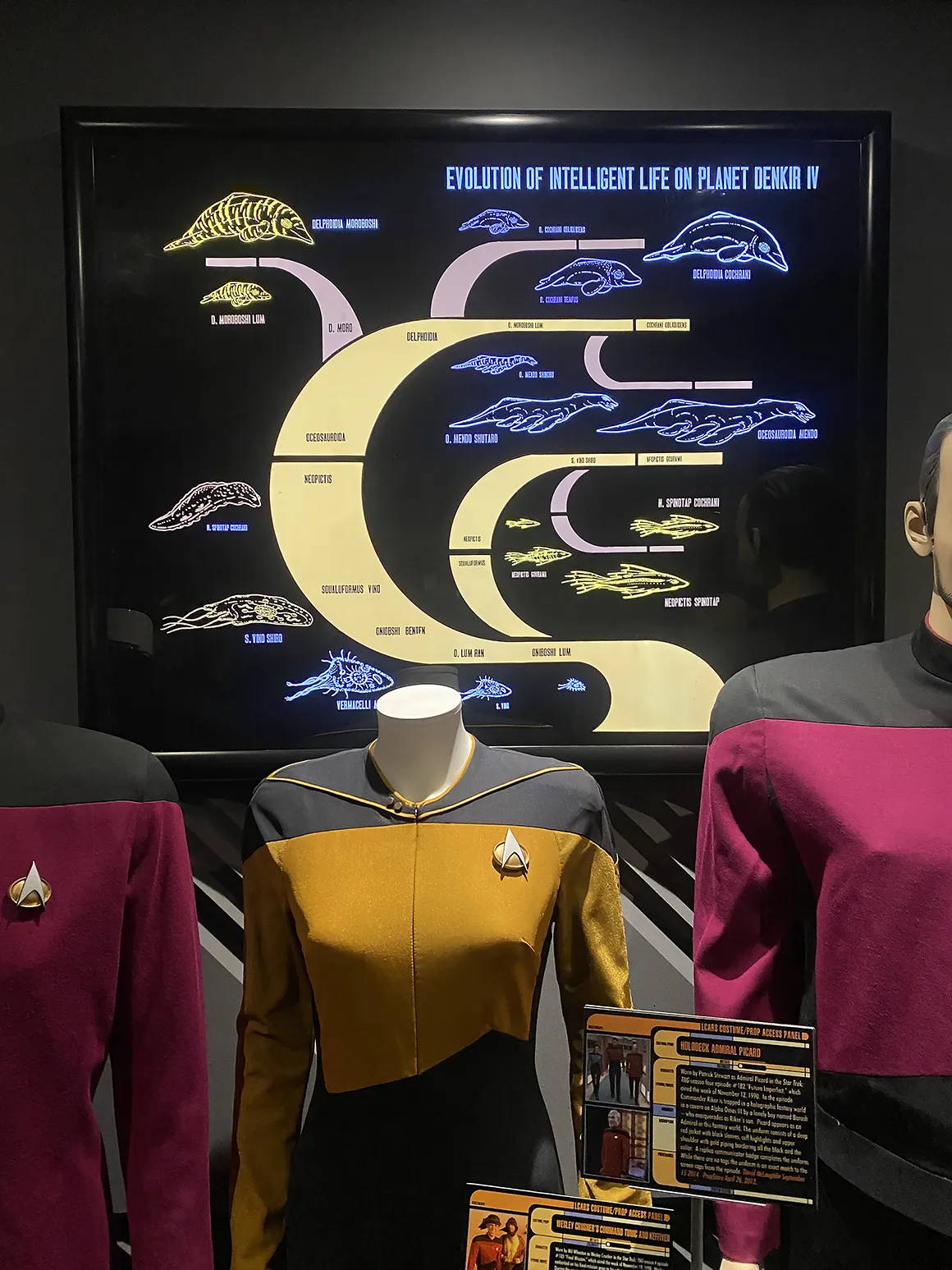 display-enterprise-d-ten-forward-g1