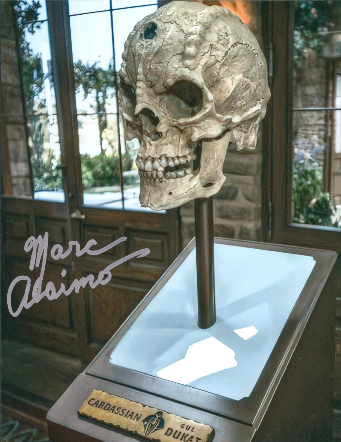 gallary-8-x-10-gul-dukat-skull