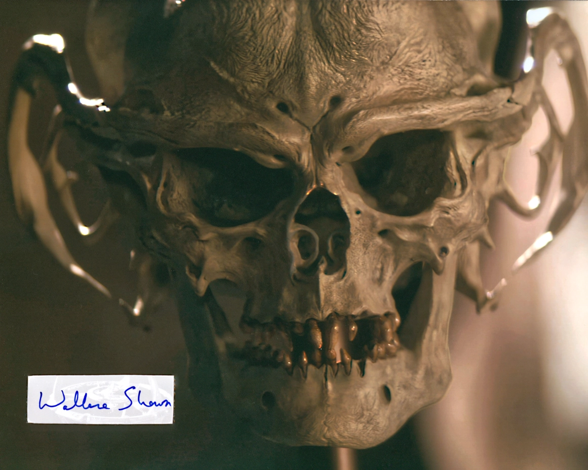 gallery-8-x-10-grand-nagus-skull
