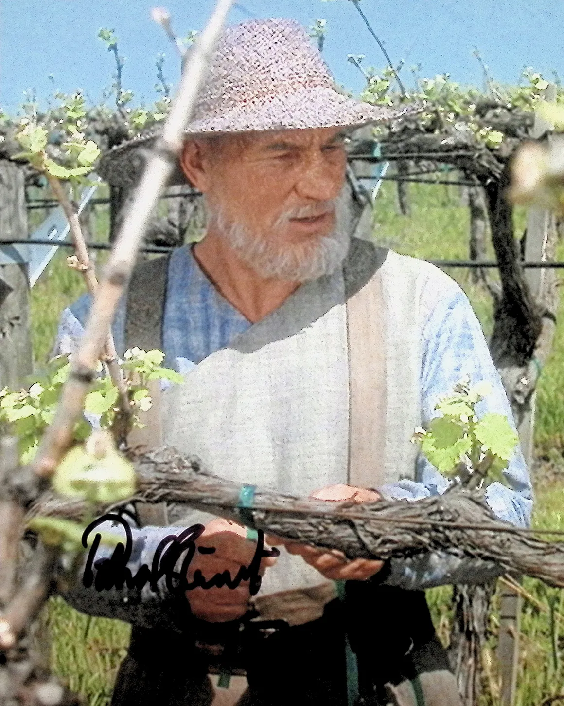 gallery-8x10-auto-picard-vineyard-costume