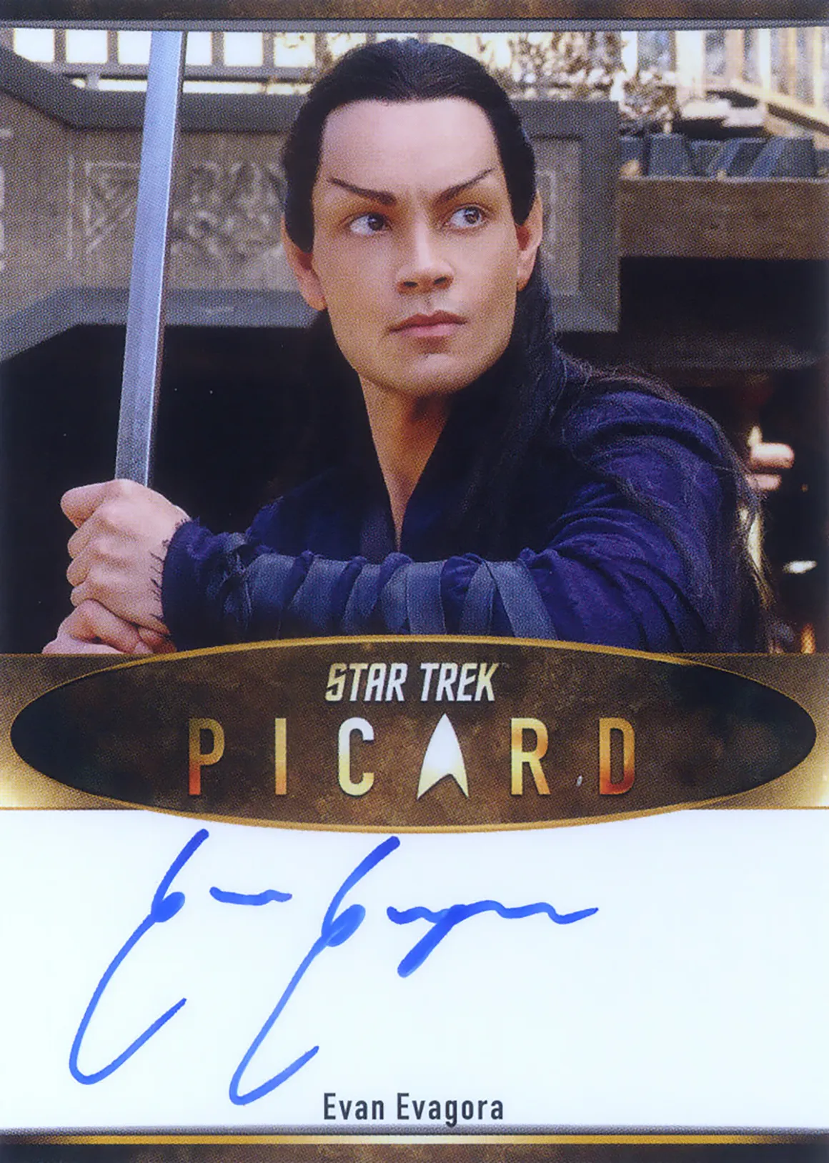 gallery-elnor-warrior-costume-card-auto