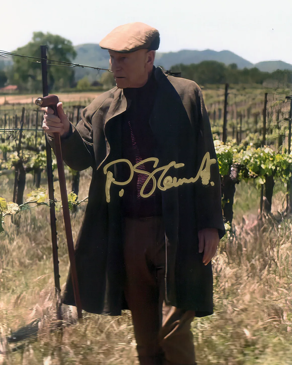 gallery-picard-jl-walking-cane-stp