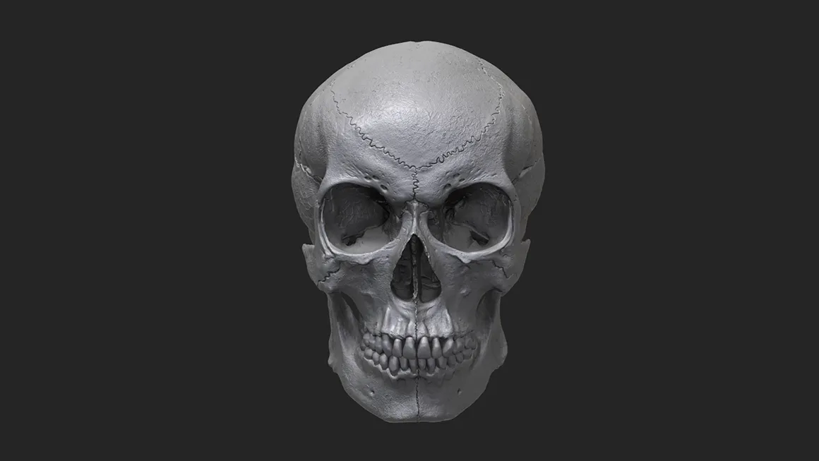 gallery-sarek-3d-model