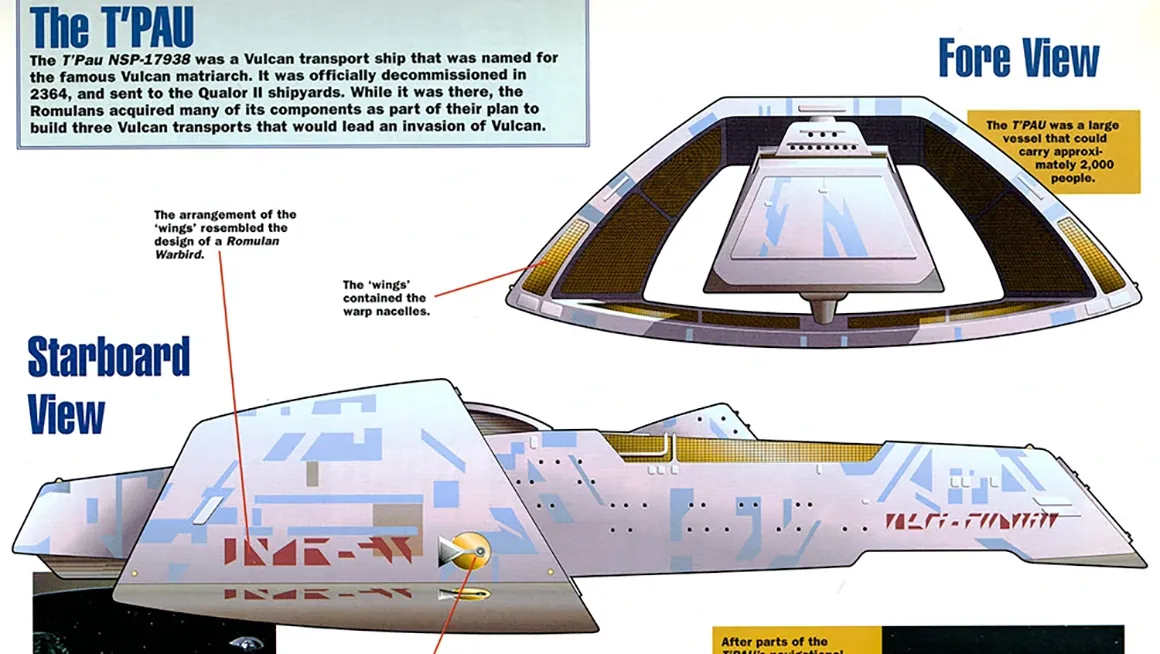 gallery-sketch_nsp-17938