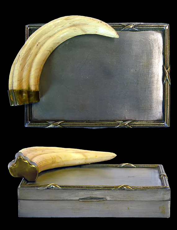 main-17-metal-display-box-with-claw