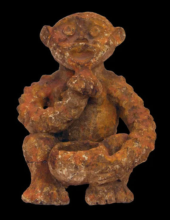 main-20-monkey-with-bowl