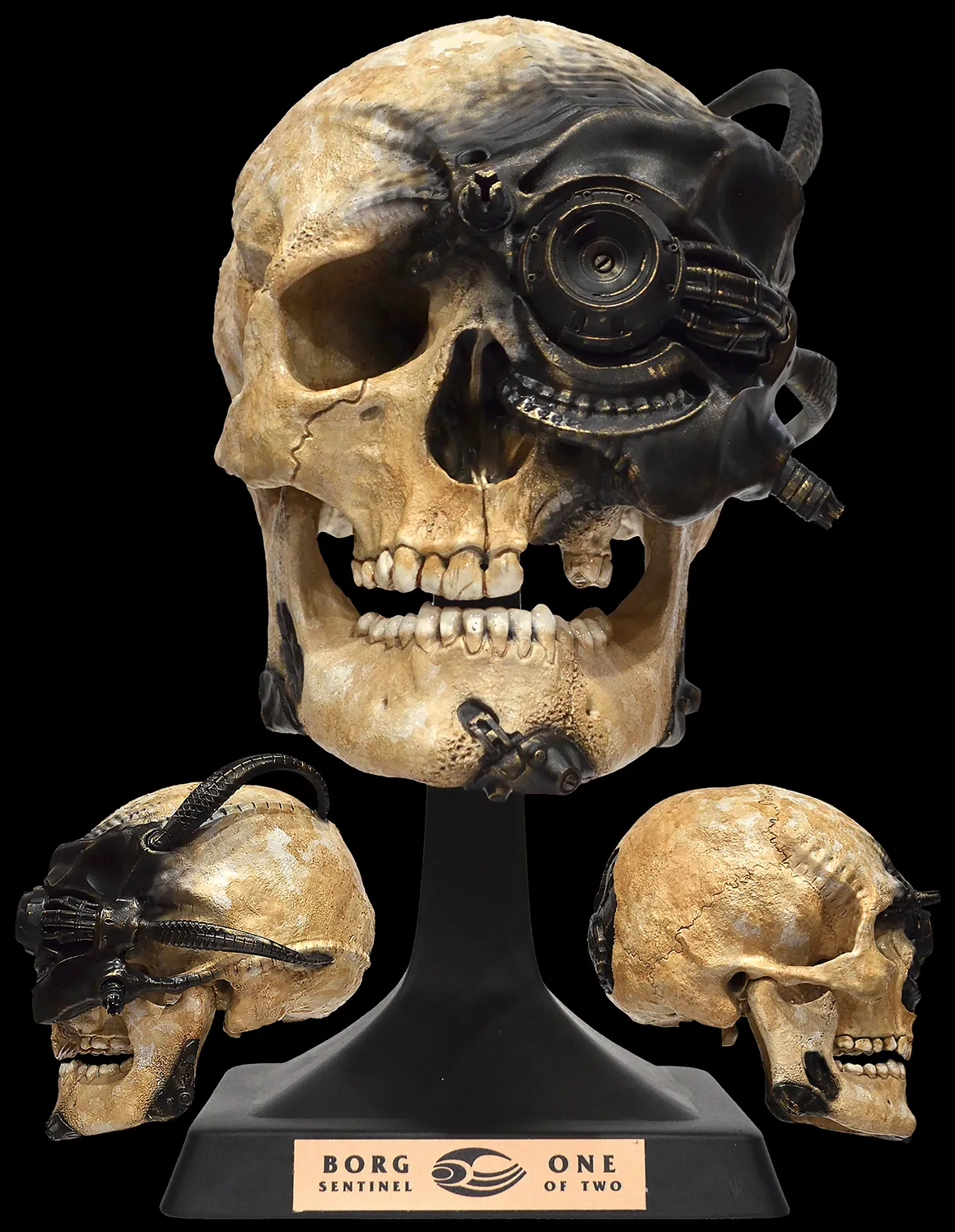 Borg Sentinel One of Two Skull