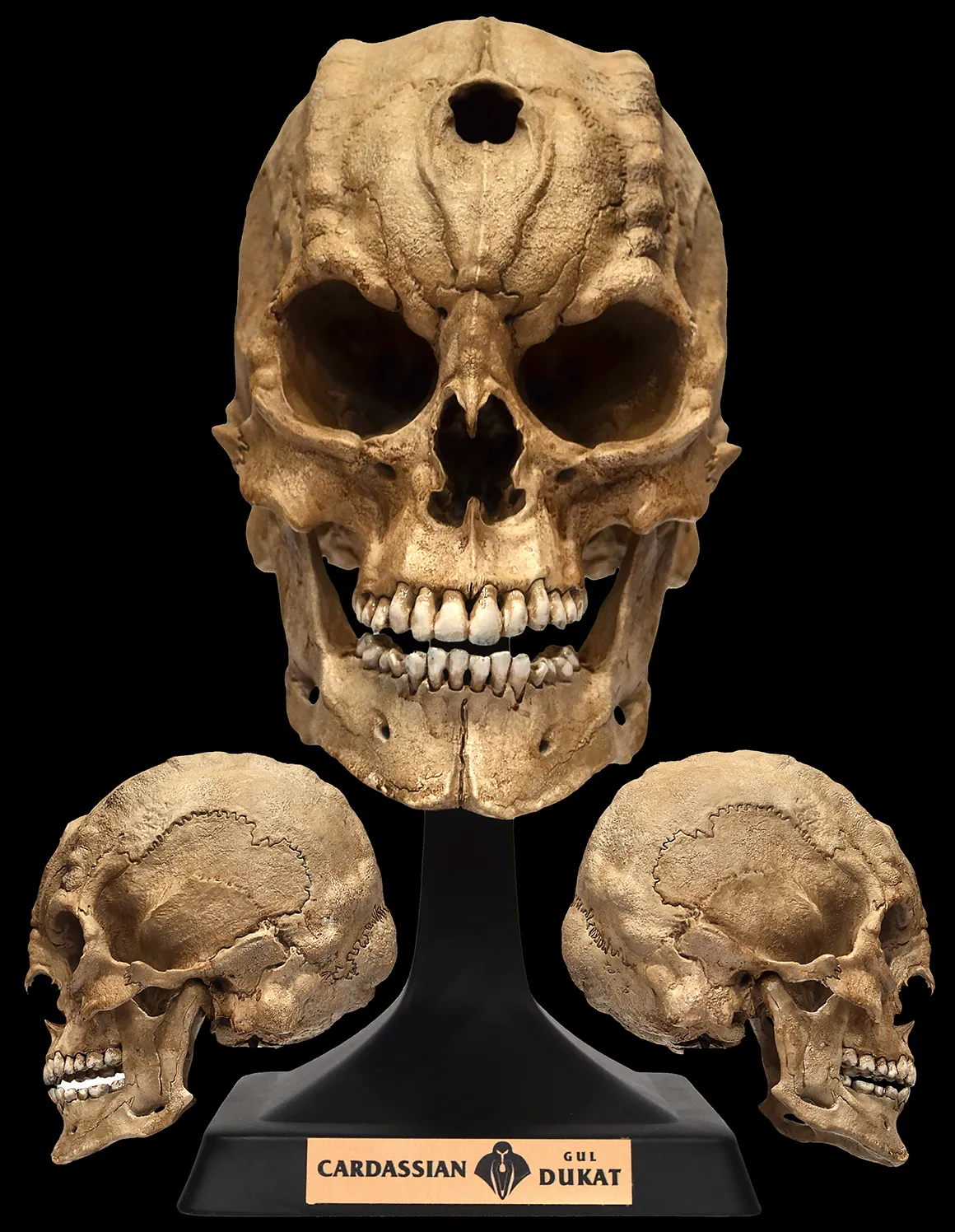 Cardassian Gul Dukat Skull