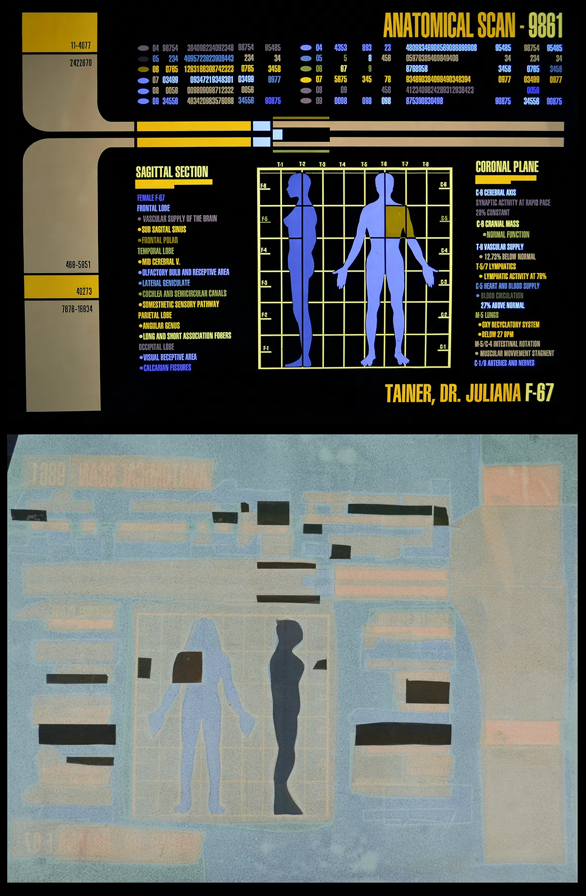 Dr. Trainer's Anatomical Scan LCARS Panel