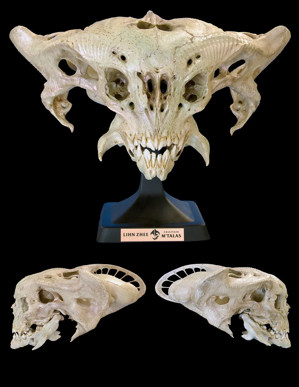 Lihn Zhee Chieftain M’Talas’ Skull