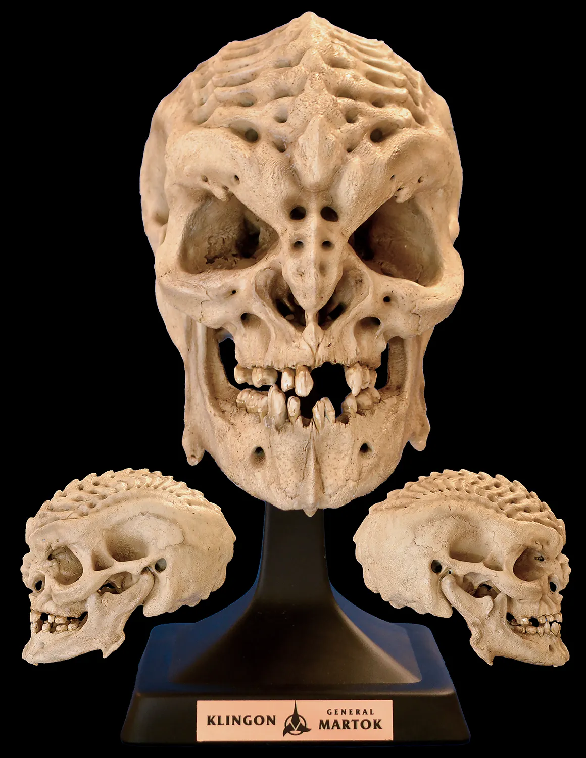 Klingon General Martok’s Skull