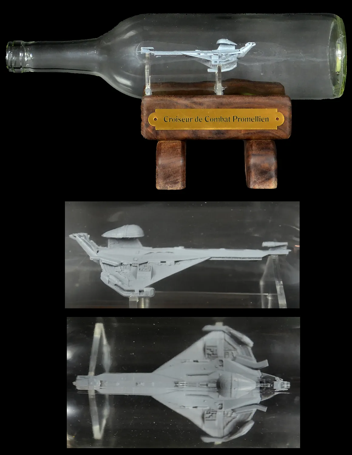 Picard's Promellian Battle Cruiser in a Bottle