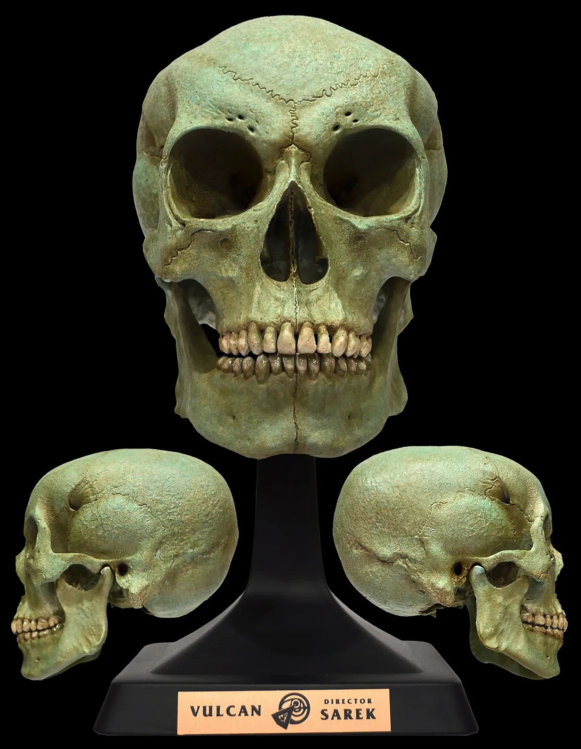 Vulcan Director Sarek Skull