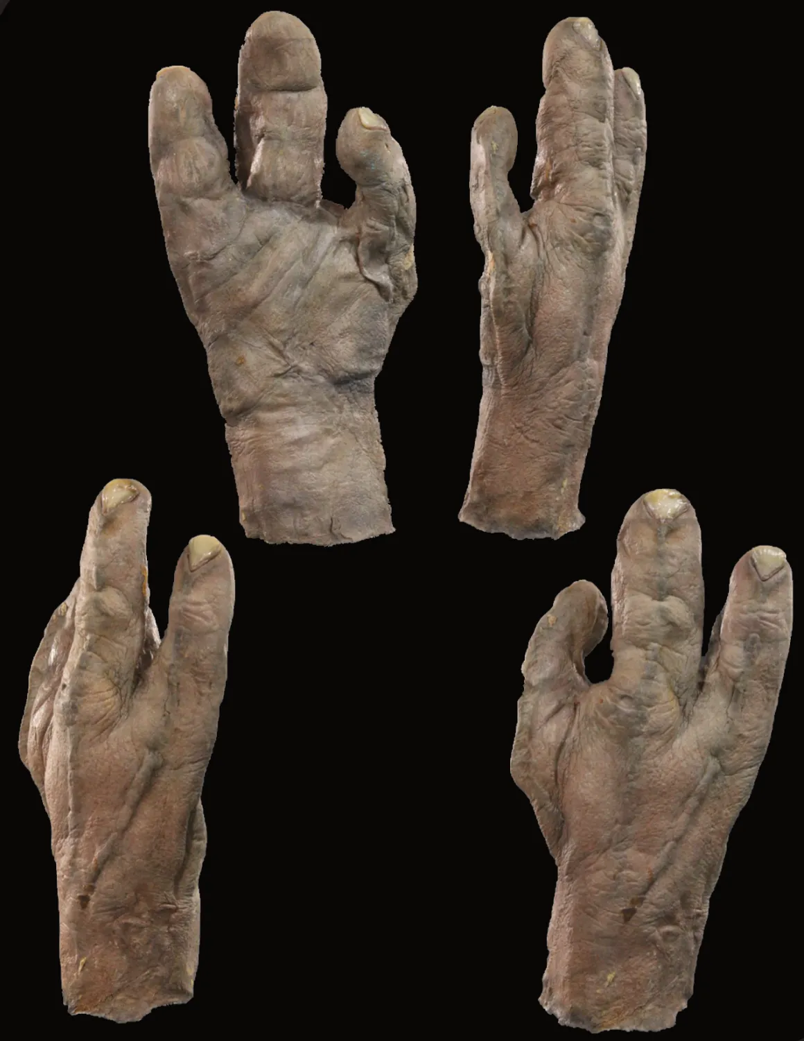 The Traveler’s Hand