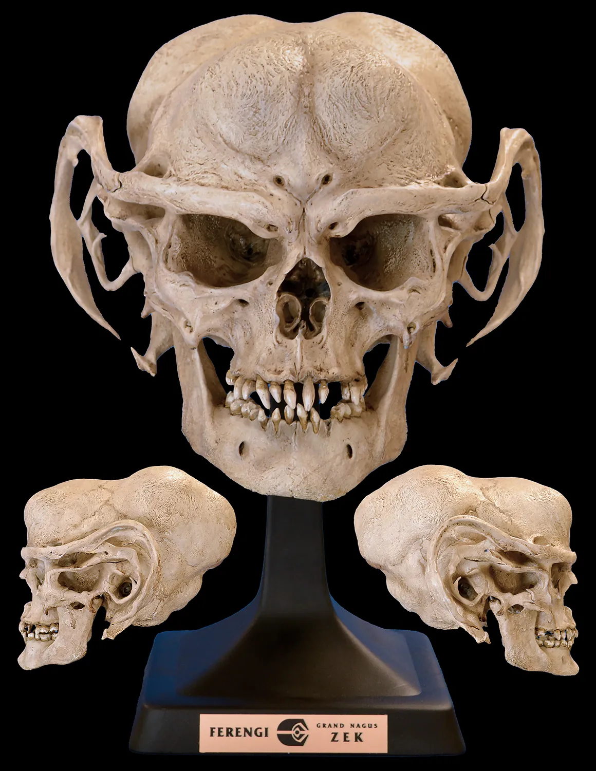 Ferengi Grand Nagus Zek’s Skull